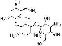 Tobramycin CAS 32986-56-4 Tobramycin CAS 32986-56-4