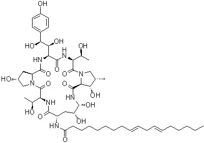 Echinocandin B CAS 54651-05-7