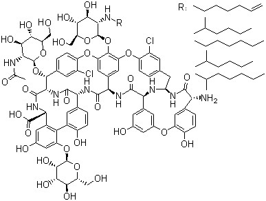 Teicoplanin CAS 61036-62-2 Teicoplanin CAS 61036-62-2