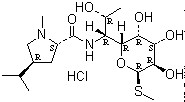 Lincomycin hydrochloride CAS 859-18-7 Lincomycin hydrochloride CAS 859-18-7