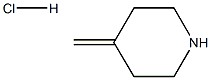 4-Methylenepiperidine HCl CAS 144230-50-2 4-Methylenepiperidine HCl CAS 144230-50-2