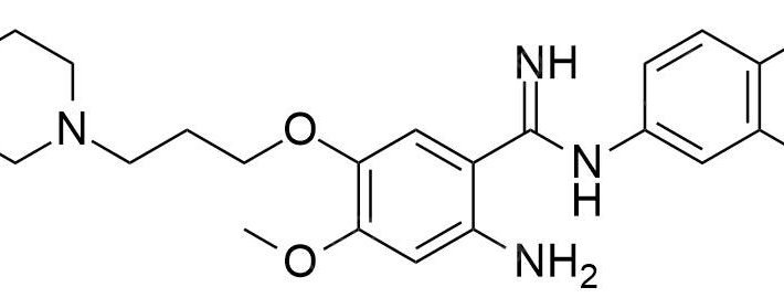 Gefitinib Impurity 41 CAS 184475-35-241