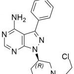 Ibrutinib Impurity 12 CAS 936563-96-112