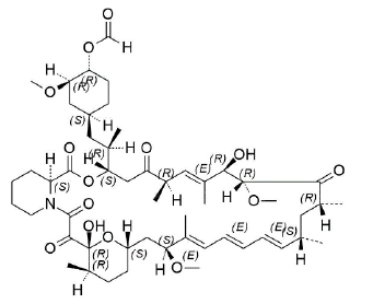 Everolimus EP Impurity E CAS 159351-69-65 Everolimus EP Impurity E CAS 159351-69-65