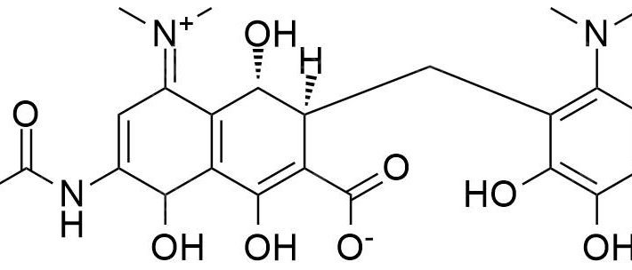Tigecycline USP Impurity A CAS 1138343-10-8