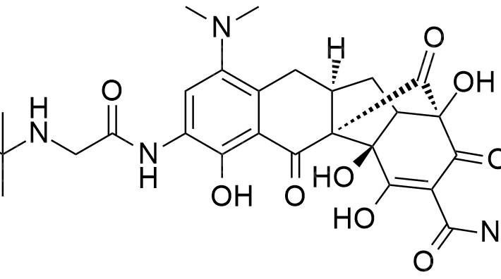 Tigecycline Impurity H CAS 1268494-40-1 Tigecycline Impurity H CAS 1268494-40-1
