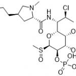 Clindamycin Phosphate Sulfoxide CAS 1228573-90-7