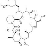 Tacrolimus 8-Epimer CAS 129212-35-7