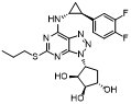 Ticagrelor Deshydroxyethyl Impurity CAS 220347-05-7 Ticagrelor Deshydroxyethyl Impurity CAS 220347-05-7