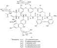 Teicoplanin CAS 61036-62-2 Teicoplanin CAS 61036-62-2