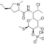 Clindamycin Phosphate EP Impurity L CAS 620181-05-7