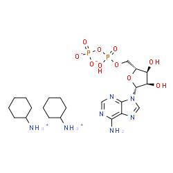 Adenosine 5′-diphosphate bis(cyclohexylammonium ) salt CAS 102029-87-8 Adenosine 5′-diphosphate bis(cyclohexylammonium ) salt CAS 102029-87-8